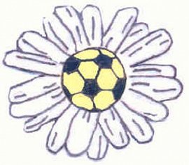 logo Športnega društva Rožna Dolina