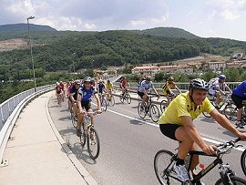 maraton češenj 2007