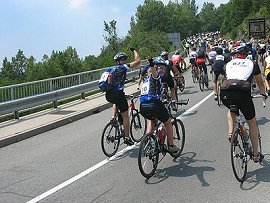 maraton češenj 2007 veselo naprej